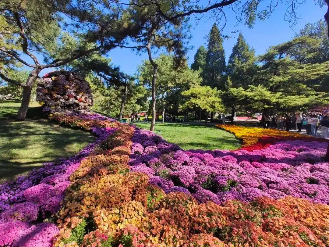 “公園+”激活花園經濟 朝陽花園節3月20日啟幕