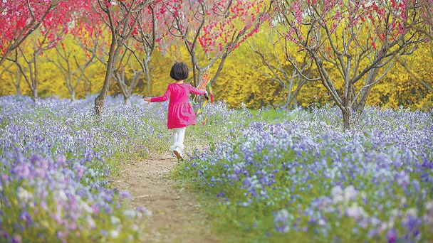 “賞花+”激活北京城市副中心春季文旅消費