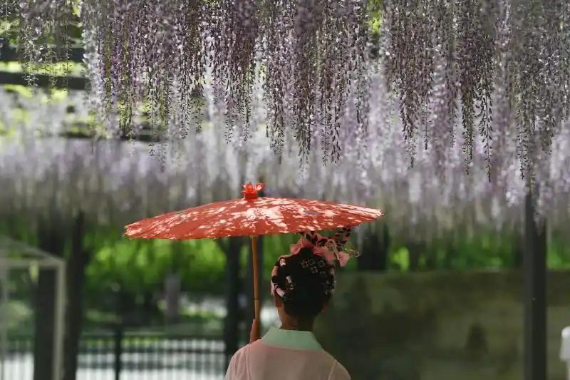 北京發(fā)布“公園治愈指南” 30處清幽空間等你來