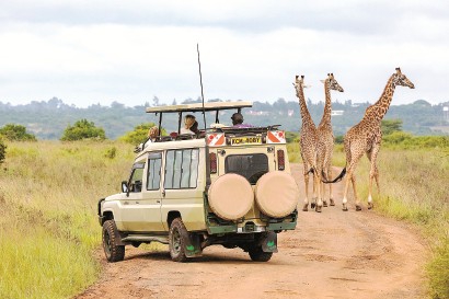 他山之石：內羅畢國家公園的和諧共生之路