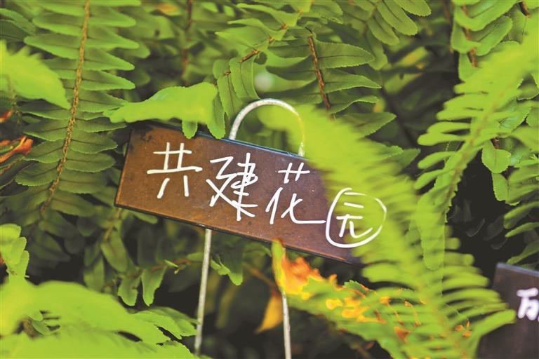 深圳:打造城市里的公園與公園里的城市
