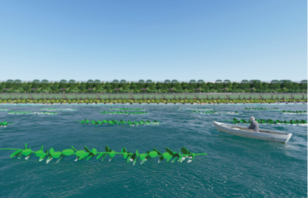 應對海平面上升的循環經濟戰略（續集）