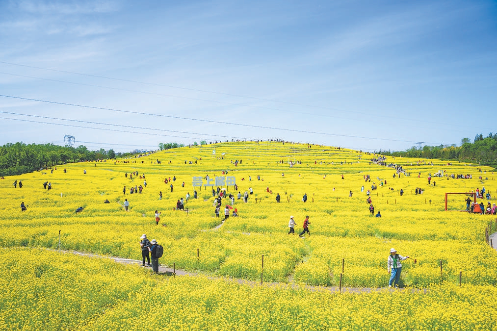 “千園之城”北京:公園里裝著都市生活下半場
