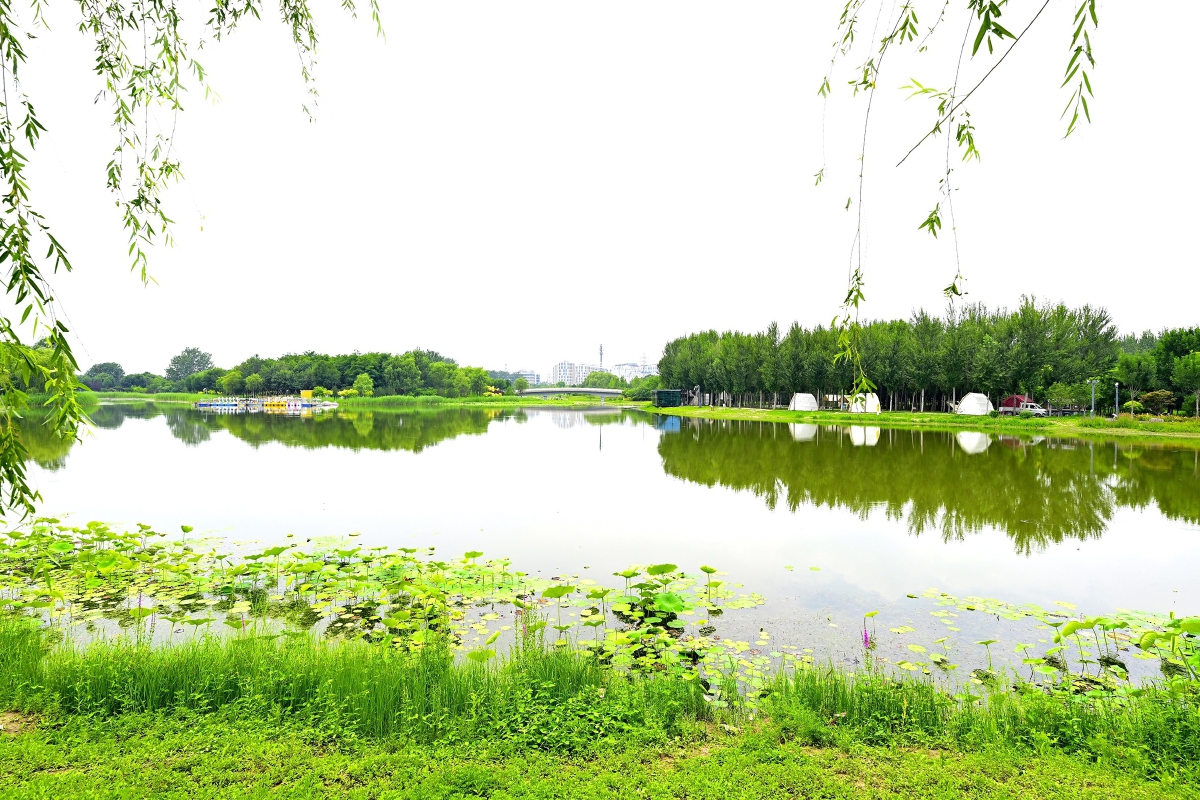 解碼北京東郊森林公園的活化利用
