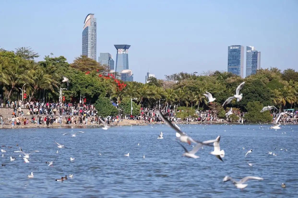 深圳邁向全域公園城市