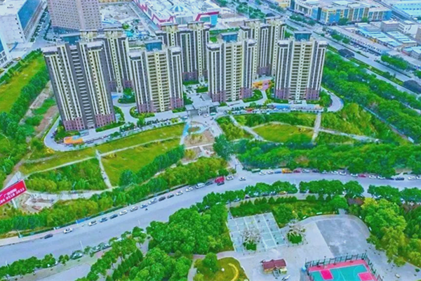 銀川海綿公園解鎖生態新場景